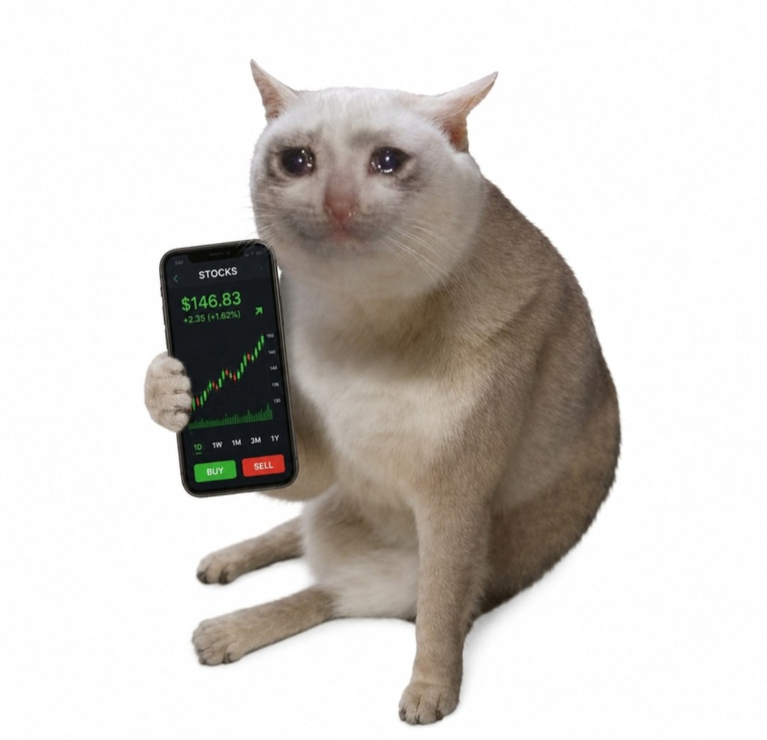 Crying cat holding Robinhood stocks